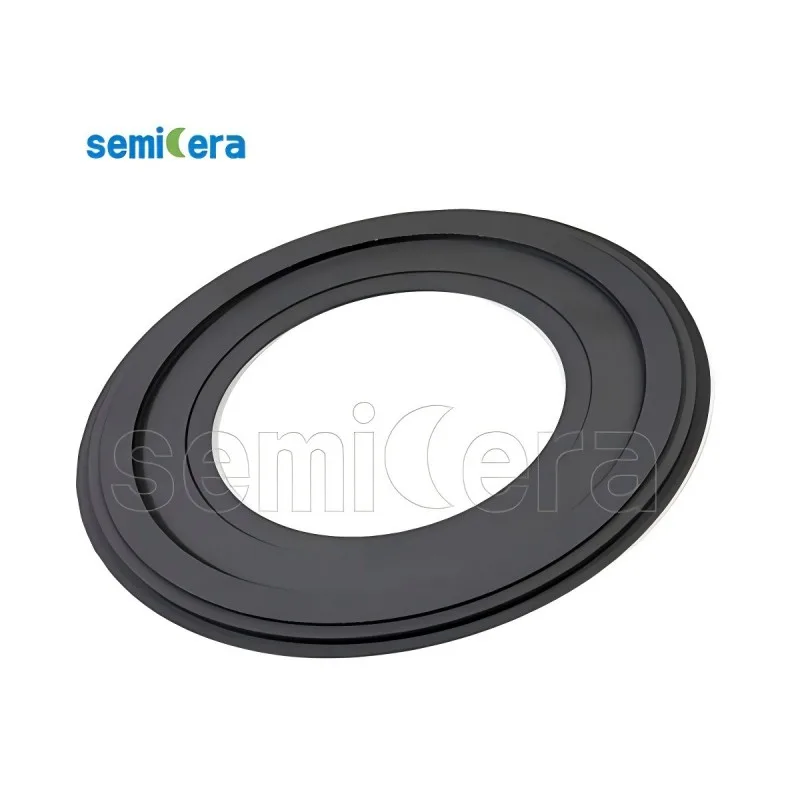 حاملة الويفر SiC Epitaxy