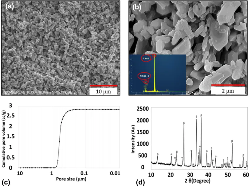 sem-se-images-of-si3n4-ceramic-at-a-5000---and-b-30-000---magnifications--c-pore-size-distribution-a