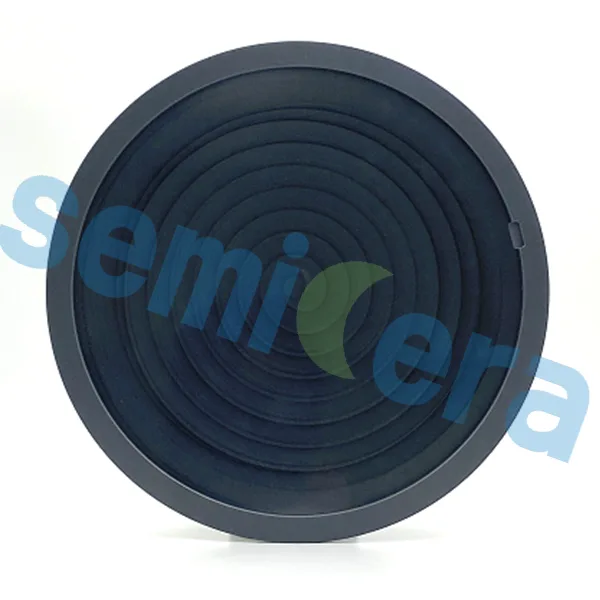 طلاء SiC Carrien لـ RTPRTA (5)