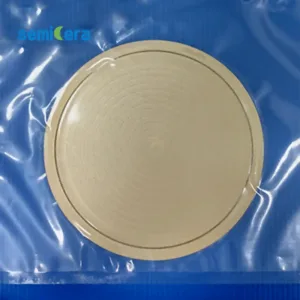 Susceptor EPI con revestimiento CVD de carburo de tantalio