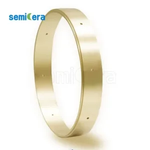 Anillo personalizado recubierto de CVD TaC