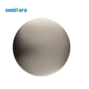 Susceptor de oblea con recubrimiento CVD TaC de carburo de tantalio