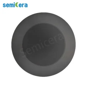 Susceptor revestido de SiC de 6/8 polegadas para ASM