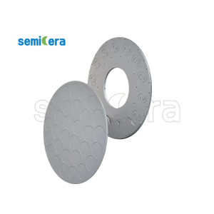 High-Temperature SiC Coating Graphite Wafer Susceptor for MOCVD Epitaxial Growth
