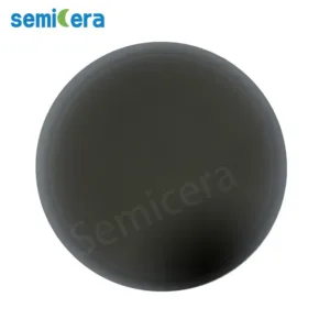 12 Inch Sic Coated Susceptor for ASM