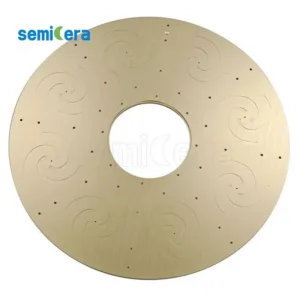 Tantalum carbide (TaC) Coating Planetary Plate