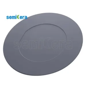 Wafer Susceptor