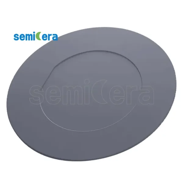 Wafer Susceptor