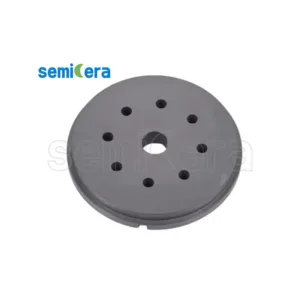 SiC Ceramic Seal Part