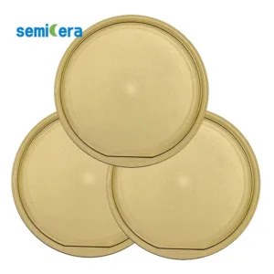 Tantalum Carbide Coated Wafer Susceptor
