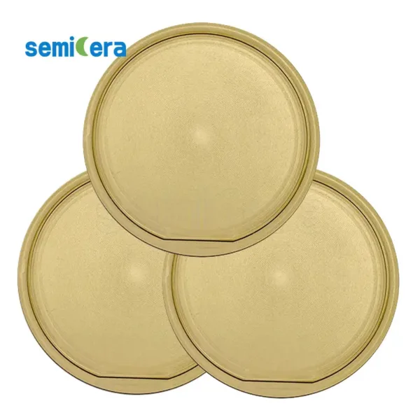 Tantalum Carbide Coated Wafer Susceptor