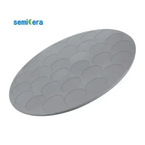 Silicon Carbide (SiC) Wafer Susceptors for MOCVD