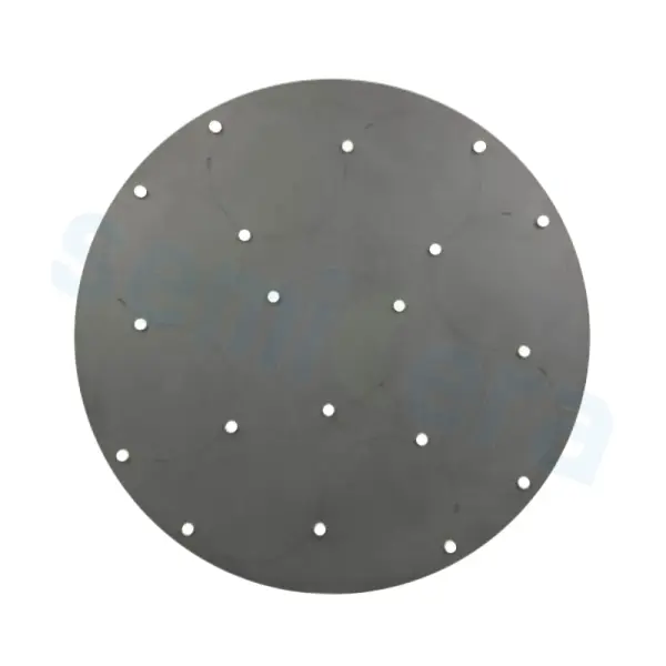 Silicon carbide etched disk (2)