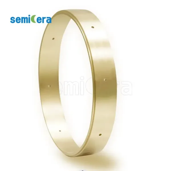 CVD TaC Coated Custom Ring