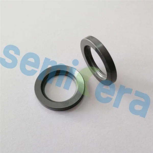 Silicon carbide sealing5