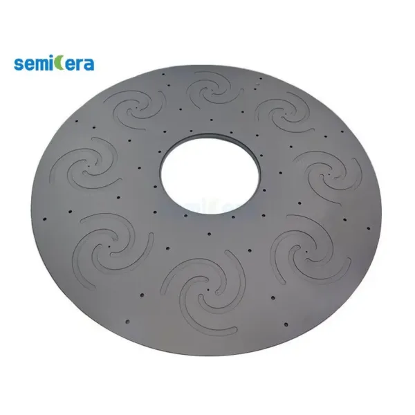 Wafer Carriers with Silicon Carbide (SiC) Coating