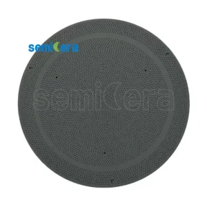CVD shower head with SiC Coated