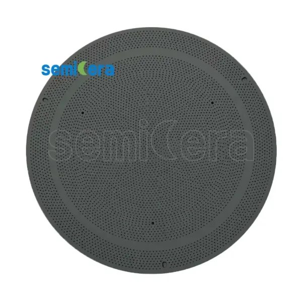 CVD shower head with SiC Coated