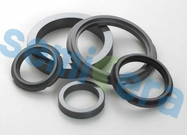 Silicon carbide sealing2