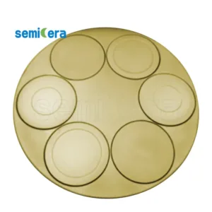 Tantalum Carbide Susceptor