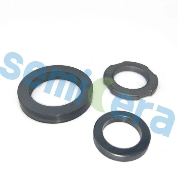Silicon carbide sealing4