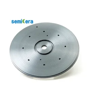 CVD SiC Shower head