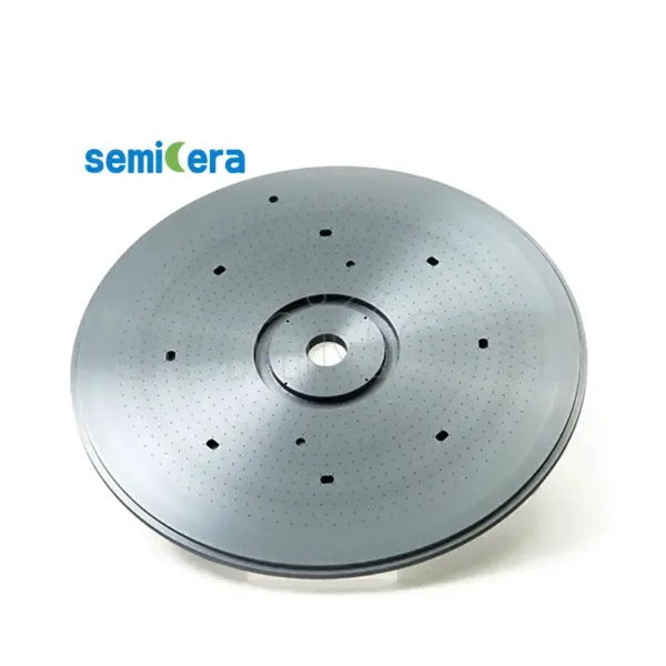 CVD SiC Shower head