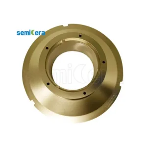 Tantalum Carbide Coating Pedestal Support Plate