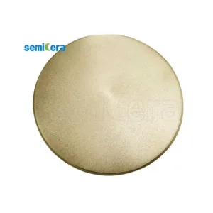 Tantalum Carbide (TaC) Coating Plate