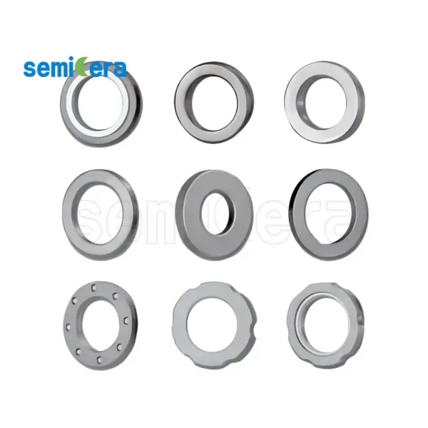 Silicon Carbide Mechanical Seal Rings