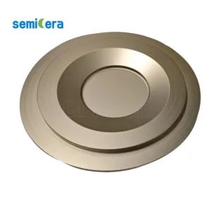 Tantalum carbide (TaC) Coated Susceptor for Epitaxy Equipment