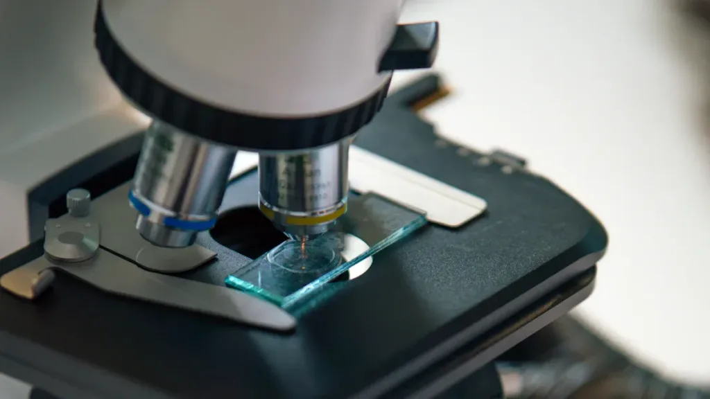 The Science Behind Silicon Carbide Coatings on Graphite Materials缩略图 The Science Behind Silicon Carbide Coatings on Graphite Materials缩略图