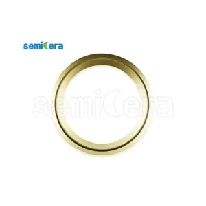 Anello rivestito in carburo di tantalum