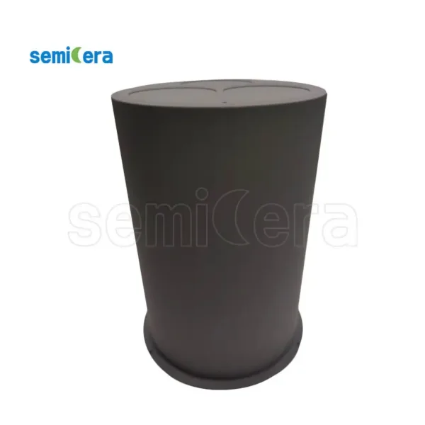 SiC-coated graphite susceptor