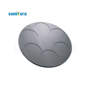 2インチグラファイトベースMOCVD機器部品の19個