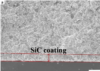 Why SiC Coated Graphite Carrier Matters Most Today缩略图